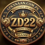zd22 game